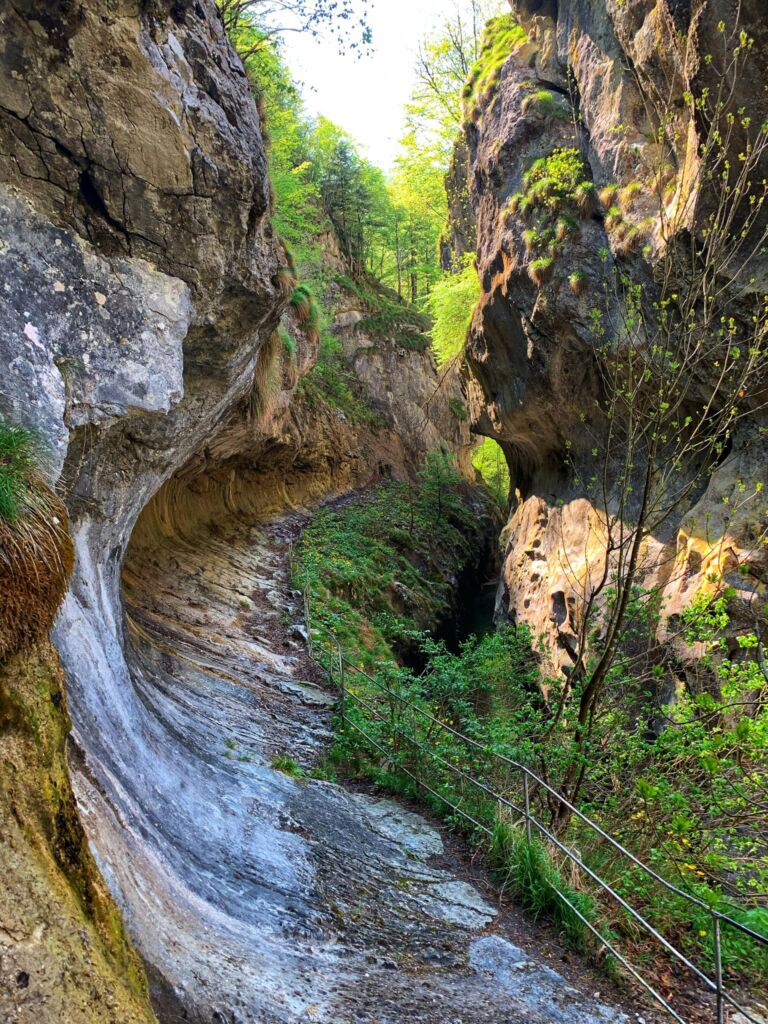 3 locuri de vis în zona Herculanelor