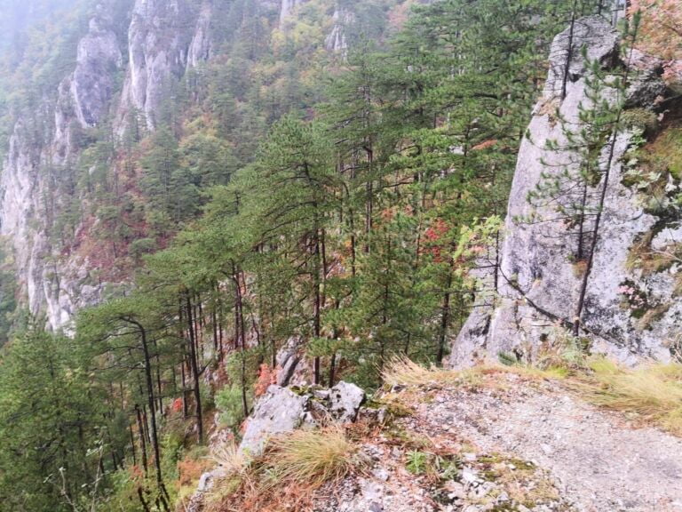 Vizitează Herculane și descoperă un tărâm mirific Vizitează Herculane și descoperă un tărâm mirific