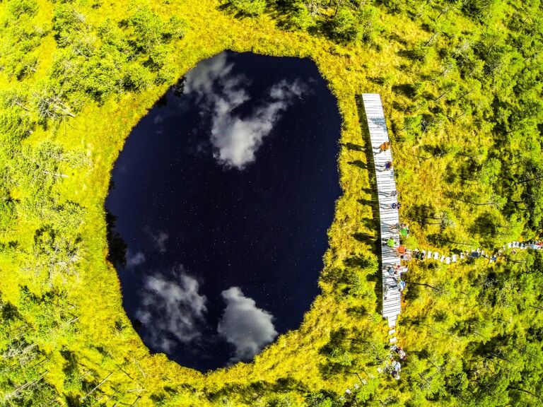 Jos stresul! Sus mofeta! Jos stresul! Sus mofeta!