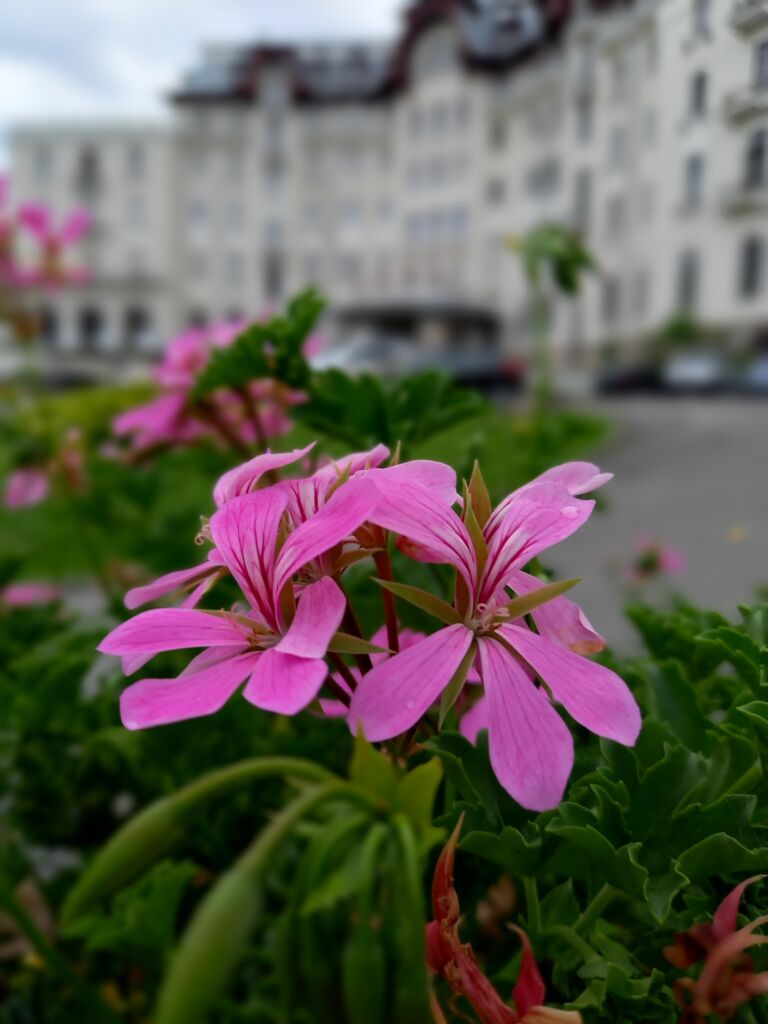 Construiește-ți imunitatea de toamnă la Băile Govora Construiește-ți imunitatea de toamnă la Băile Govora