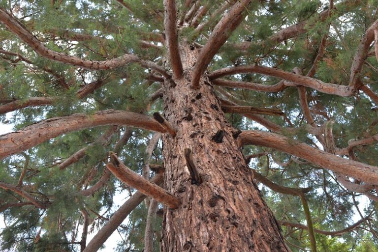La Băile Herculane, respiri sănătate!