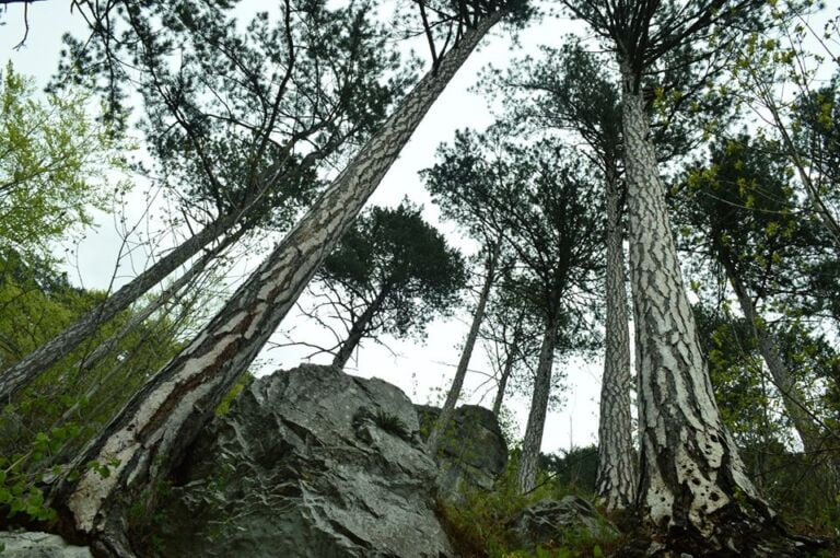 Petrece o vacanță de neuitat pe Valea Cernei! Petrece o vacanță de neuitat pe Valea Cernei!