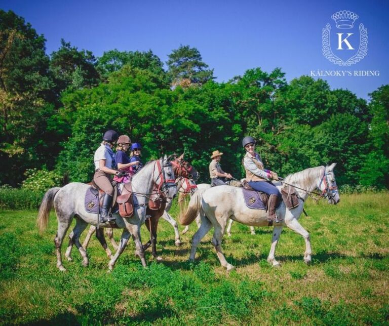 Cu mic, cu mare, haideți într-o escapadă călare și descoperiți turismul ecvestru! Cu mic, cu mare, haideți într-o escapadă călare și descoperiți turismul ecvestru!