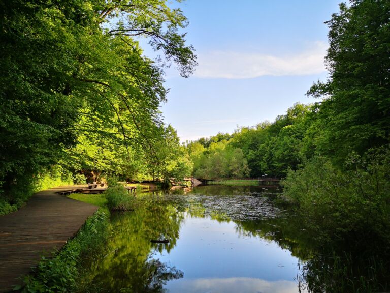 Protocol de relaxare în vacanță Protocol de relaxare în vacanță