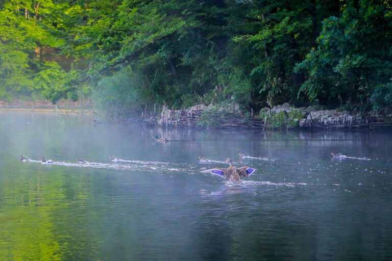 Reset de primăvară: pași esențiali pentru o stare de bine completă