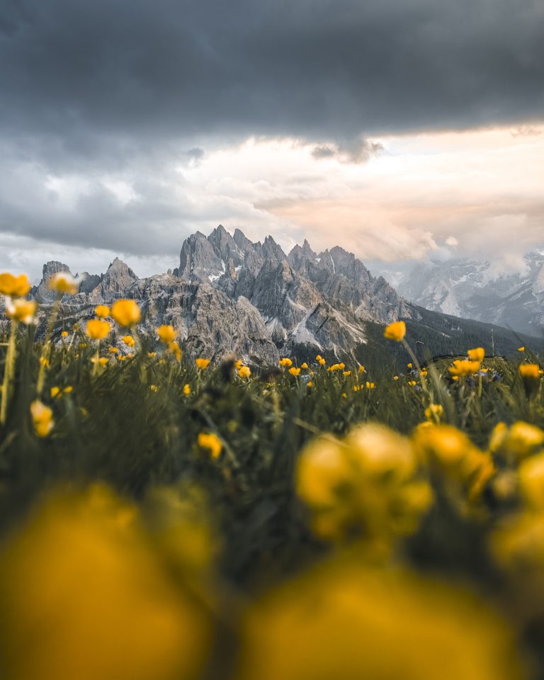 5,3 miliarde de imagini în fiecare zi, la nivel global: seria HONOR 600 simplifică editarea foto cu ajutorul AI 5,3 miliarde de imagini în fiecare zi, la nivel global: seria HONOR 600 simplifică editarea foto cu ajutorul AI